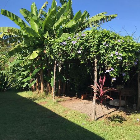 Les Hibiscus Villa Ambondrona  Exterior photo